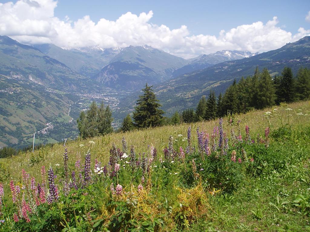 Chalet Les Gentianes La Plagne Kültér fotó